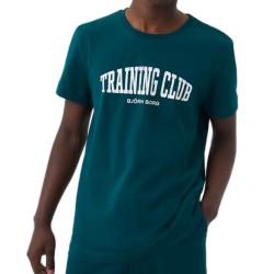 Boys' t-shirt Bj_rn Borg Sthlm T-shirt - botanical garden