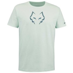 Men's T-shirt Babolat Cotton T-Shirt Lebron - misty jade