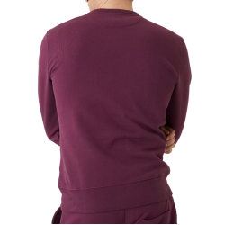 Men's Jumper Bj_rn Borg Crew - grape wine