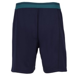 Men's shorts Fila Shorts Lewis - fila navy/deep teal