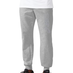Men's trousers Asics Big Logo Sweat Pant - glacier grey/piedmont grey