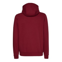 Men's Jumper Tommy Hilfiger Essentials Hoody - rouge
