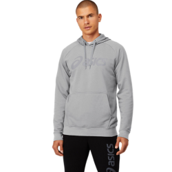 Men's Jumper Asics Big Asics Oth Hoodie M - glacier grey/piedmont grey