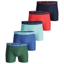 Men's Boxers Bj_rn Borg Shorts Sammy Seasonal Solid 5P - frosty spruce