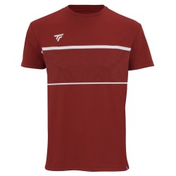 Men's T-shirt Tecnifibre Team Tech Tee - cardinal