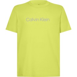 Men's T-shirt Calvin Klein PW SS T-shirt - love bird