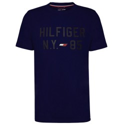 Men's T-shirt Tommy Hilfiger Graphic S/S Training Tee - desert sky