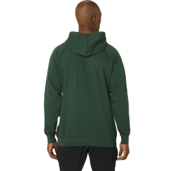 Men's Jumper Asics Big Asics Oth Hoodie - rain forest/performance black