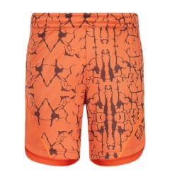 Men's shorts EA7 Man Woven Shorts - spice route