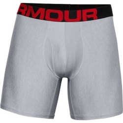 Men's Boxers Under Armour Tech 6in 2 Pack - gray