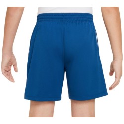 Boys' shorts Nike Boys Dri-Fit Multi+ Graphic Training Shorts - court blue/white/white