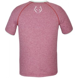 Men's T-shirt Babolat Crew Neck T-Shirt Lebron - red dahlia