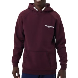 Boys' jumper Bj_rn Borg Sthlm Hoodie - winetasting