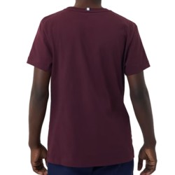 Boys' t-shirt Bj_rn Borg Sthlm T-shirt - winetasting