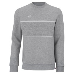 Men's Jumper Tecnifibre Team Sweater - silver