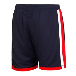 Men's shorts Fila Shorts Fabio - navy/fila red