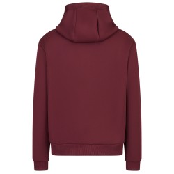 Men's Jumper EA7 Man Jersey Sweatshirt - windsor wine