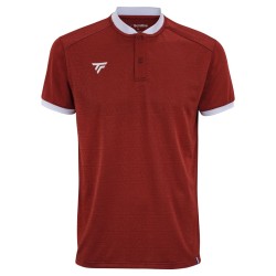 Men's Polo T-shirt Tecnifibre Team Mesh Polo - cardinal