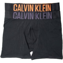 Men's Boxers Calvin Klein Intens Power Boxer Brief 2P - b-carrot