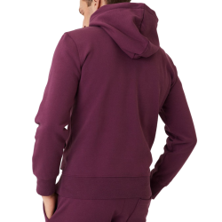 Men's Jumper Bj_rn Borg Hoodie - grape wine