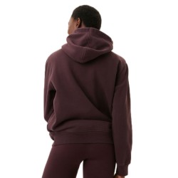 Women's jumper Bj_rn Borg Stockholm Boyfriend Hoodie W - fudge