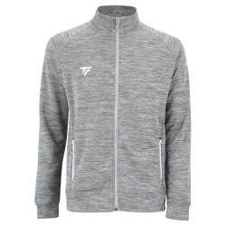 Men's Jumper Tecnifibre Team Jacket - silver