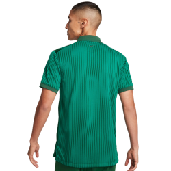 Men's Polo T-shirt Nike Polo Dri-Fit Heritage Print - malachite