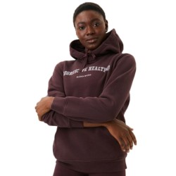 Women's jumper Bj_rn Borg Stockholm Boyfriend Hoodie W - fudge