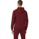 Men's Jumper Asics Big Asics Oth Hoodie - antique red/performance black