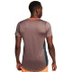 Men's Polo T-shirt Nike Court Dri-Fit Advantage Polo - deep jungle/plum eclipse/white Men's Polo T-shirt Nike Court Dri-Fit Advantage Polo - deep jungle/plum eclipse/white