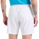 Men's shorts Diadora Bermuda Icon M - optical white