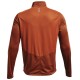 Men's long sleeve T-shirt Under Armour Men's UA Speed Stride 2.0 1/2 Zip - fox