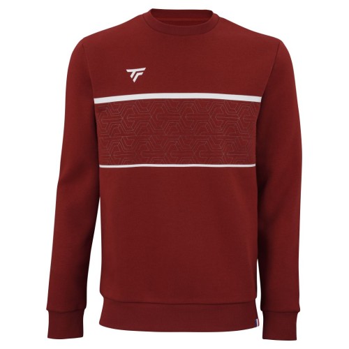 Men's Jumper Tecnifibre Team Sweater - cardinal