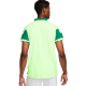 Men's Polo T-shirt Nike Court Slam Dri-Fit ADV Tennis Polo - malachite/barely volt/coconut milk/white