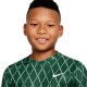 Boys' t-shirt Nike Court Dri-Fit Victory SS Top Printed - gorge green/white Boys' t-shirt Nike Court Dri-Fit Victory SS Top Printed - gorge green/white