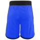 Men's shorts Hydrogen Tech Shorts Man - bluette