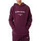 Boys' jumper Bj_rn Borg Hoodie - grape wine