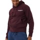 Men's Jumper Bj_rn Borg Stockholm Hoodie - winetasting