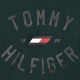 Men's T-shirt Tommy Varsity Graphic Short Sleeve Tee - hunter