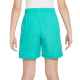 Boys' shorts Nike Dri-Fit Multi+ Training Shorts - clear jade/white