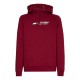 Men's Jumper Tommy Hilfiger Essentials Hoody - rouge Men's Jumper Tommy Hilfiger Essentials Hoody - rouge