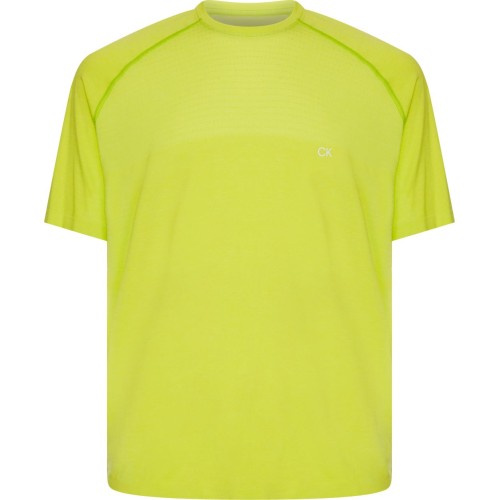 Men's T-shirt Calvin Klein Seamless SS T-shirt - love bird Men's T-shirt Calvin Klein Seamless SS T-shirt - love bird